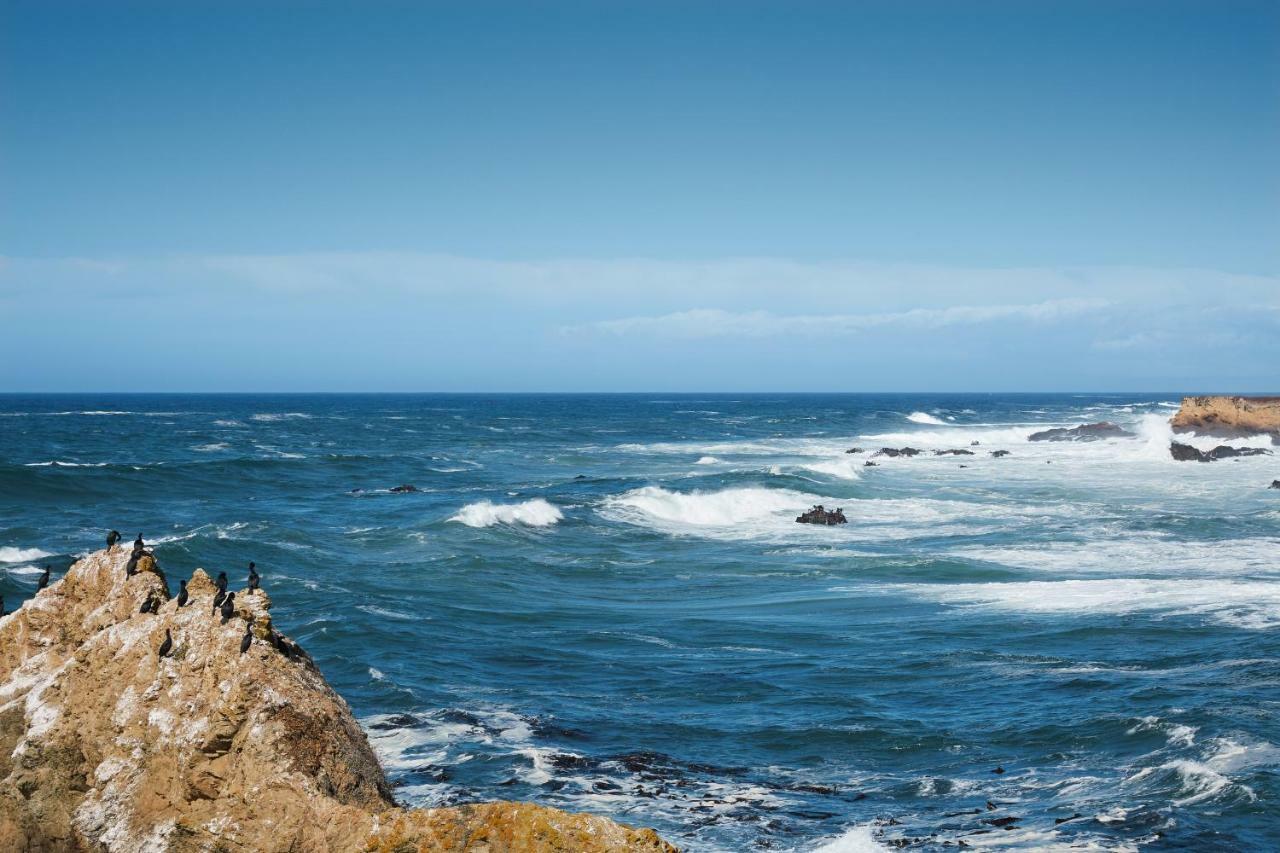 Ocean Breeze Villa Fort Bragg Exteriör bild